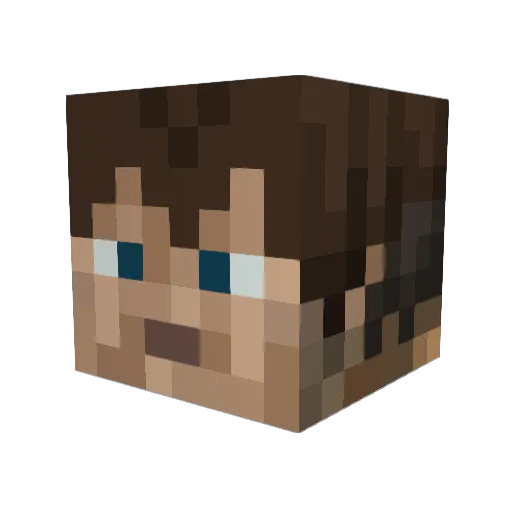 Dingalbat Minecraft avatar head, 3D render