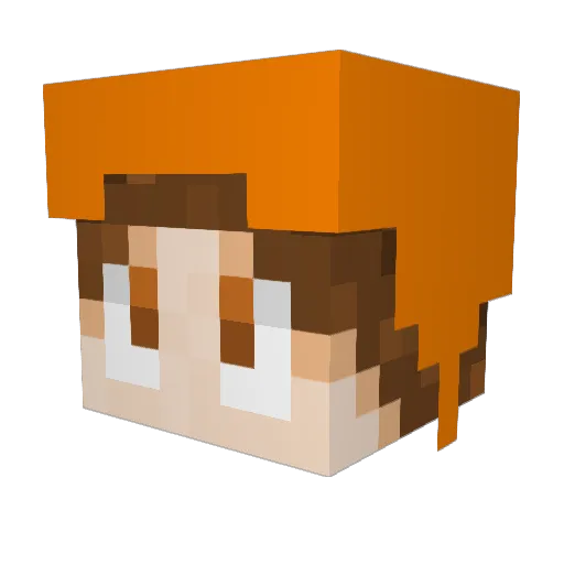 Dingbat1991 Minecraft avatar head, 3D render