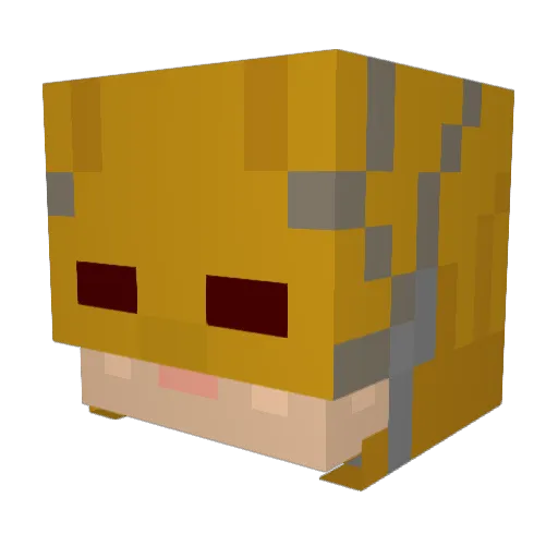 Dinger10 Minecraft avatar head, 3D render