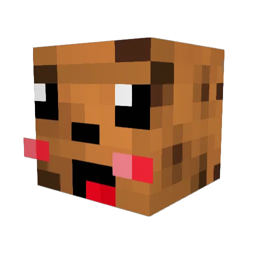 DingierBiscuit1 Minecraft avatar head, 3D render