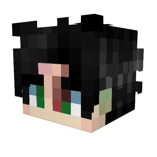 Dinglbin2 Minecraft avatar head, 3D render