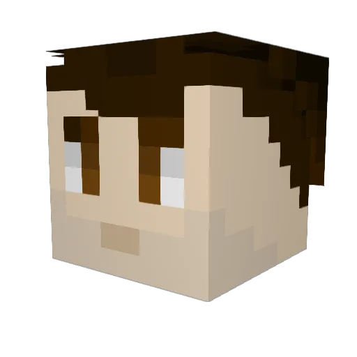 DingleMan12 Minecraft avatar head, 3D render