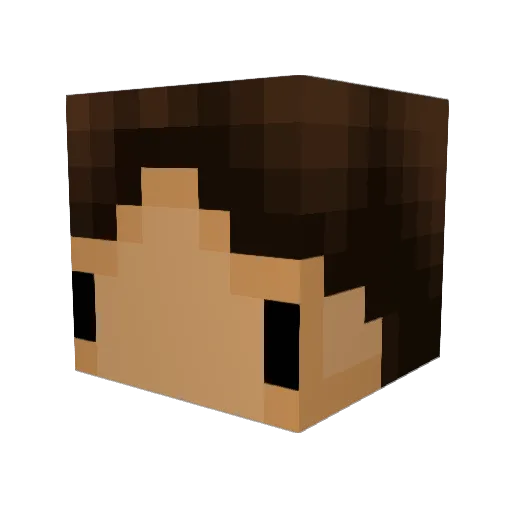 Dingle_bop Minecraft avatar head, 3D render