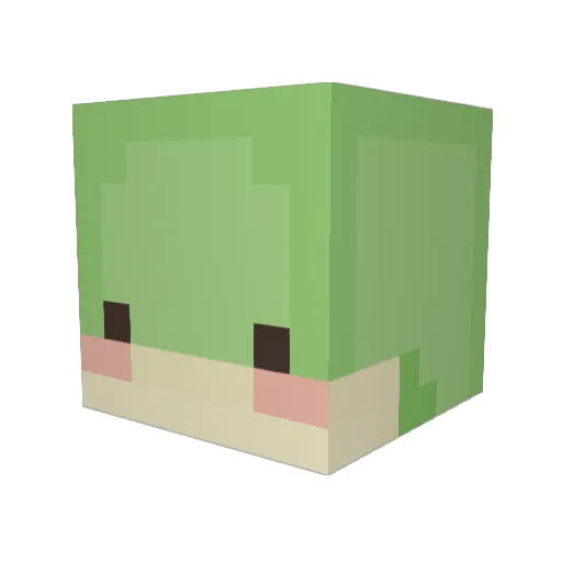 Dingo15000 Minecraft avatar head, 3D render