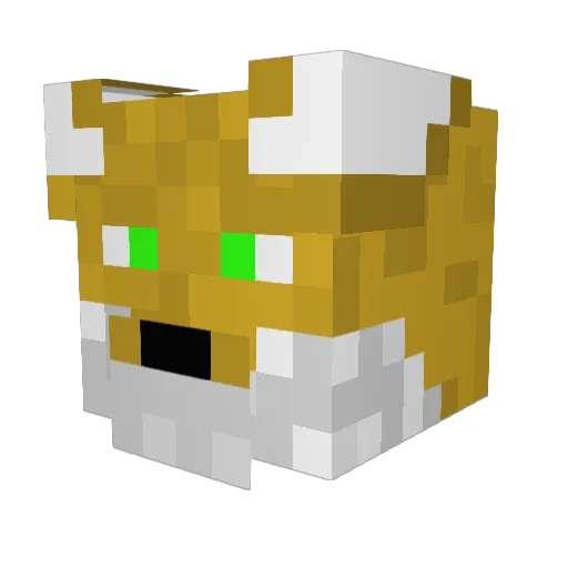 Dingo1838 Minecraft avatar head, 3D render