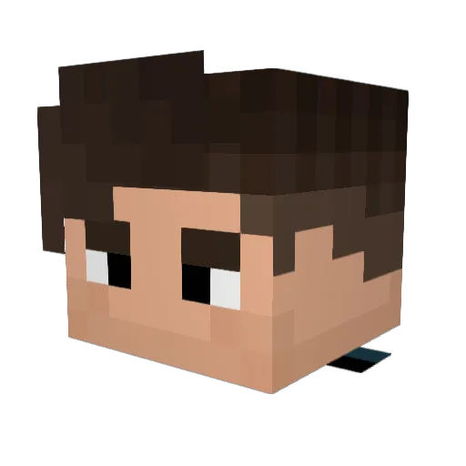 DingoAteMySon Minecraft avatar head, 3D render