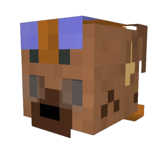 DingoBandito Minecraft avatar head, 3D render
