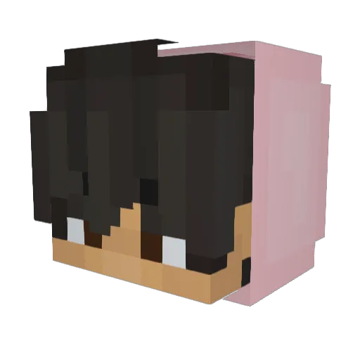 DingoFrame Minecraft avatar head, 3D render