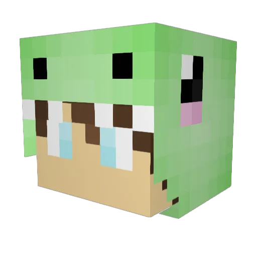Dingo_LOL Minecraft avatar head, 3D render