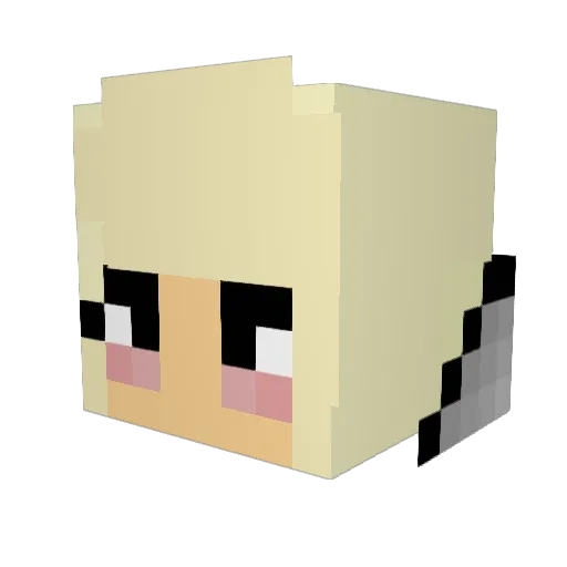 Dingobaby92 Minecraft avatar head, 3D render