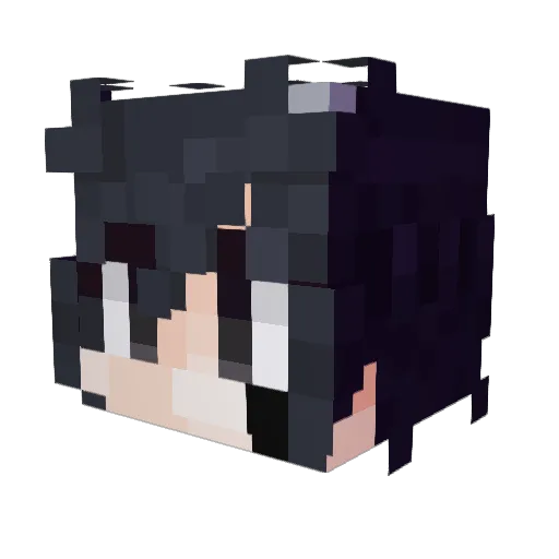 Dingogo98 Minecraft avatar head, 3D render