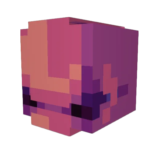 Dingopher Minecraft avatar head, 3D render