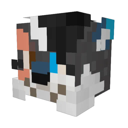 Dingotime Minecraft avatar head, 3D render