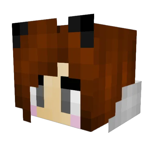 Dingsda345 Minecraft avatar head, 3D render