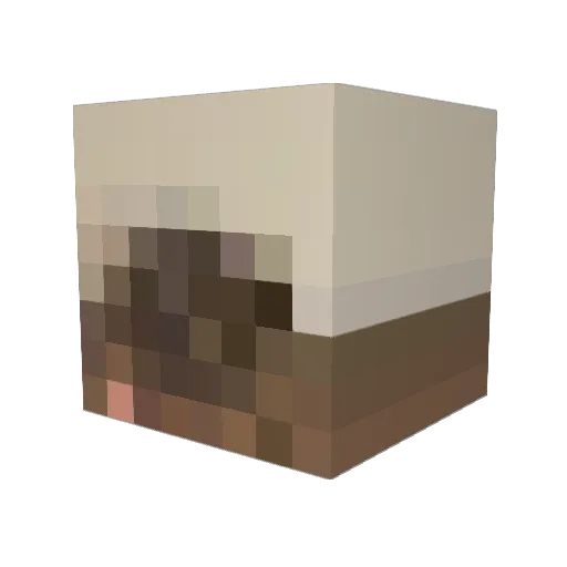 DinguDingus_ Minecraft avatar head, 3D render