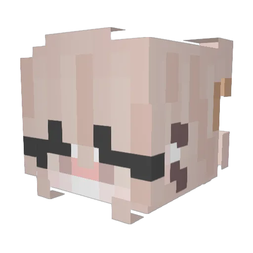 DingusAK Minecraft avatar head, 3D render