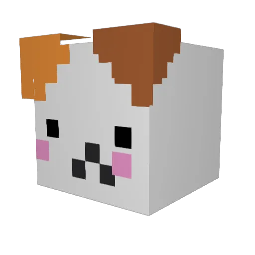 DingusLauncher43 Minecraft avatar head, 3D render