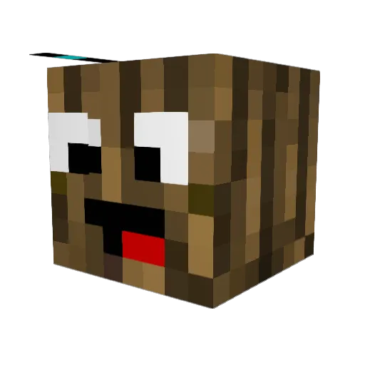 DingusMalingus Minecraft avatar head, 3D render