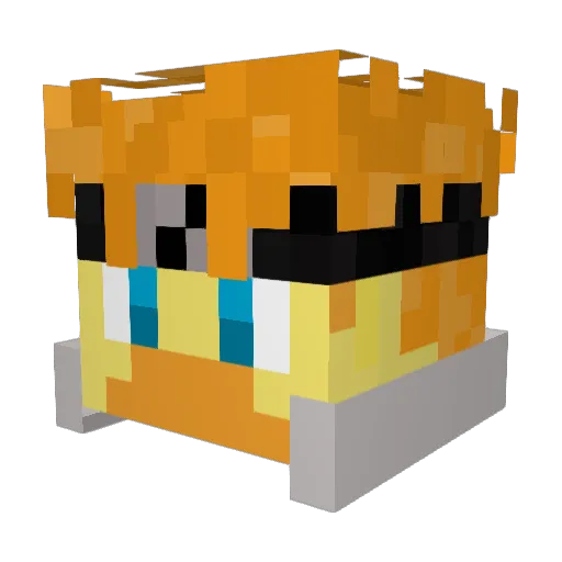 Dingus_Duck Minecraft avatar head, 3D render