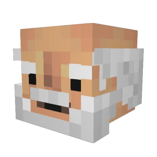 Dingusbread44 Minecraft avatar head, 3D render