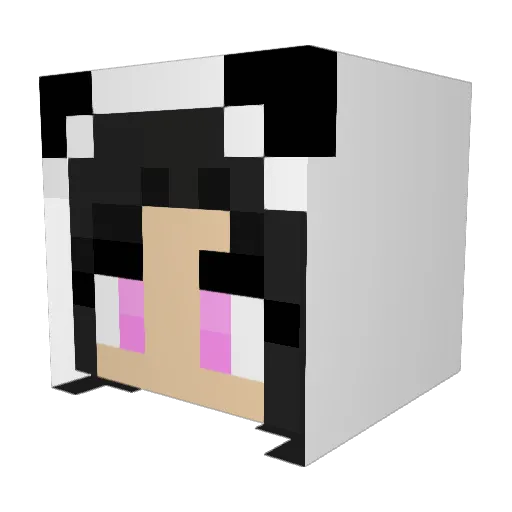 Dinhni Minecraft avatar head, 3D render