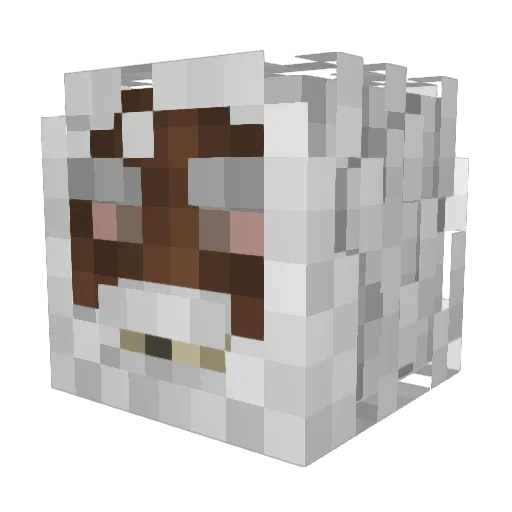 Dini_Mueter24 Minecraft avatar head, 3D render