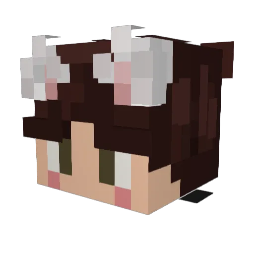 DinkyRocco Minecraft avatar head, 3D render