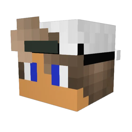 Dinnerbone4118 Minecraft avatar head, 3D render