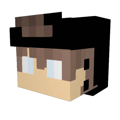 Dinnerischicken Minecraft avatar head, 3D render
