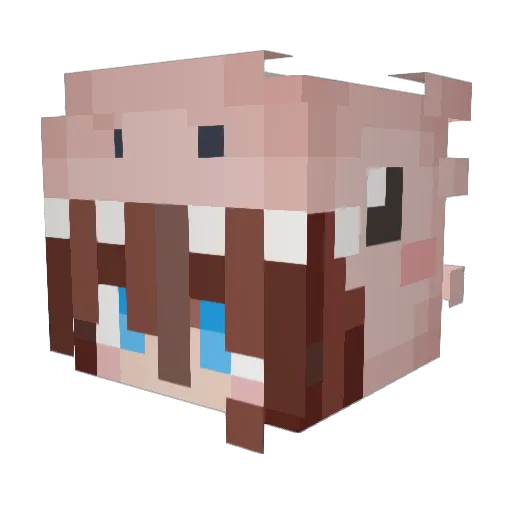 DinoFox568 Minecraft avatar head, 3D render