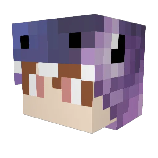 DinoKid627 Minecraft avatar head, 3D render