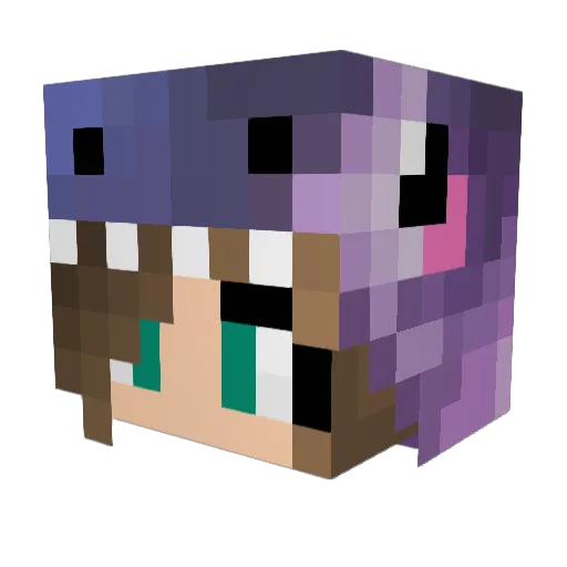 DinoKnight274 Minecraft avatar head, 3D render