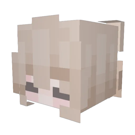 DinoNudel Minecraft avatar head, 3D render