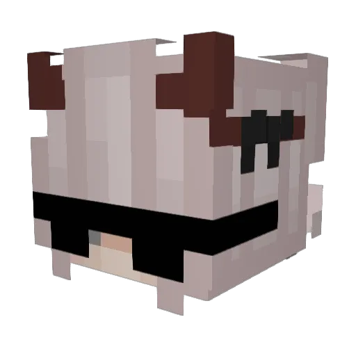 DinoNuggets666 Minecraft avatar head, 3D render