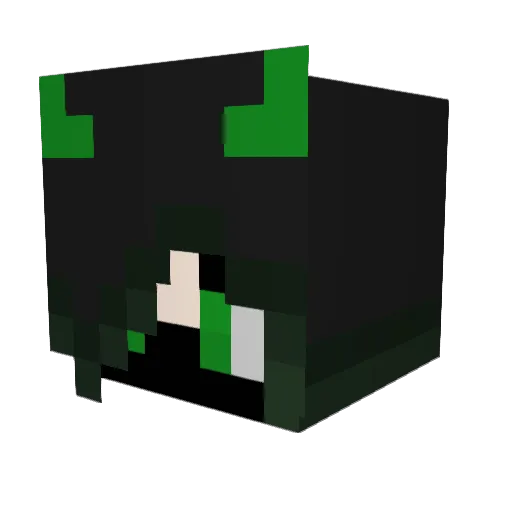 DinoNuggies7553 Minecraft avatar head, 3D render