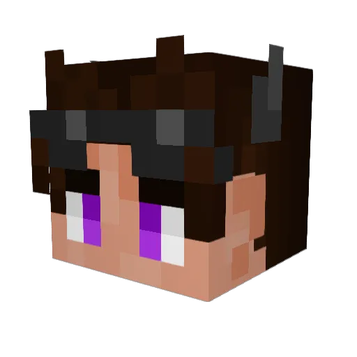 DinoRider101 Minecraft avatar head, 3D render
