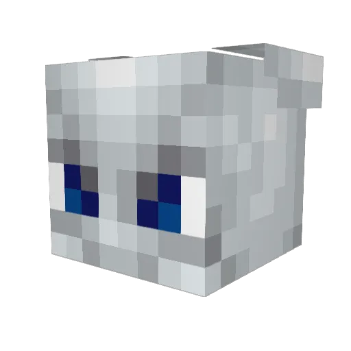 Dinofer Minecraft avatar head, 3D render