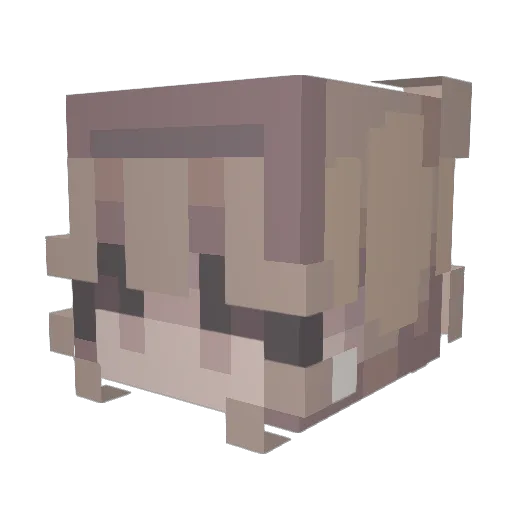 Dinofrogz Minecraft avatar head, 3D render