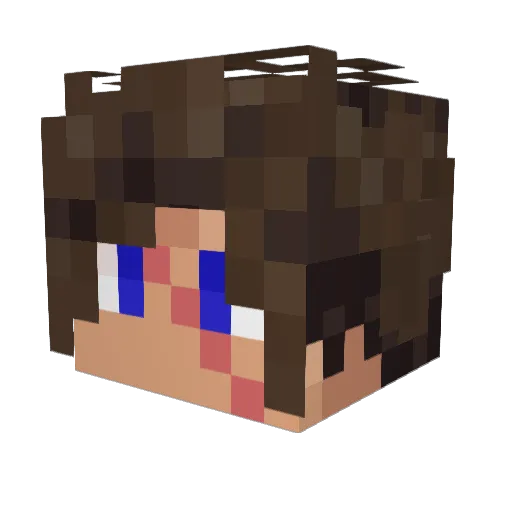 Dinoken2 Minecraft avatar head, 3D render