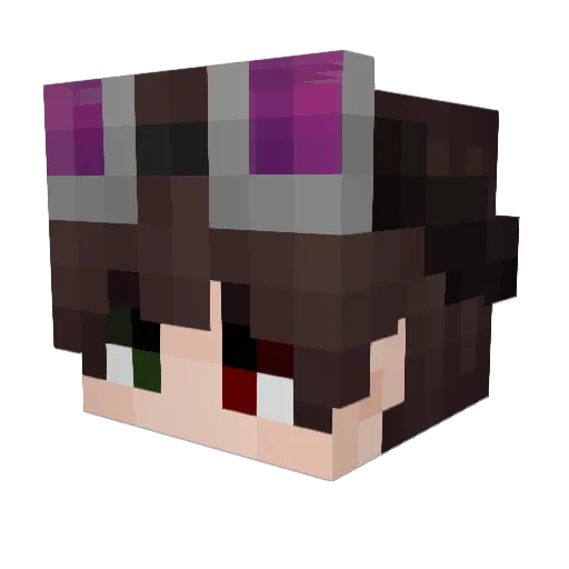 Dinolander08 Minecraft avatar head, 3D render