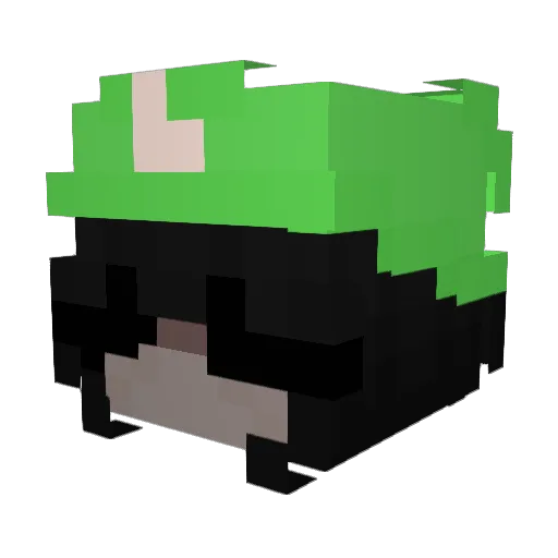 Dinoo5558 Minecraft avatar head, 3D render