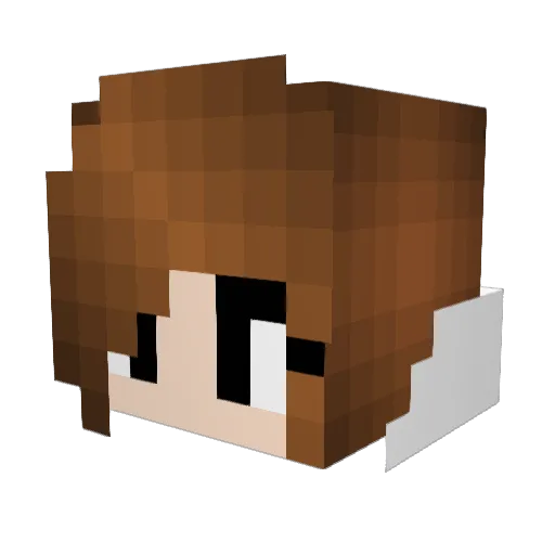 Dinosaur753 Minecraft avatar head, 3D render