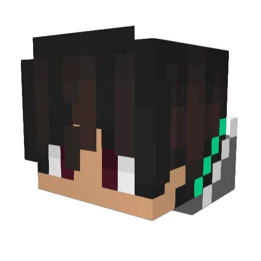 Dins1337 Minecraft avatar head, 3D render