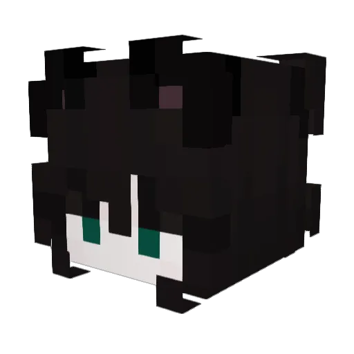 DioDrowned Minecraft avatar head, 3D render