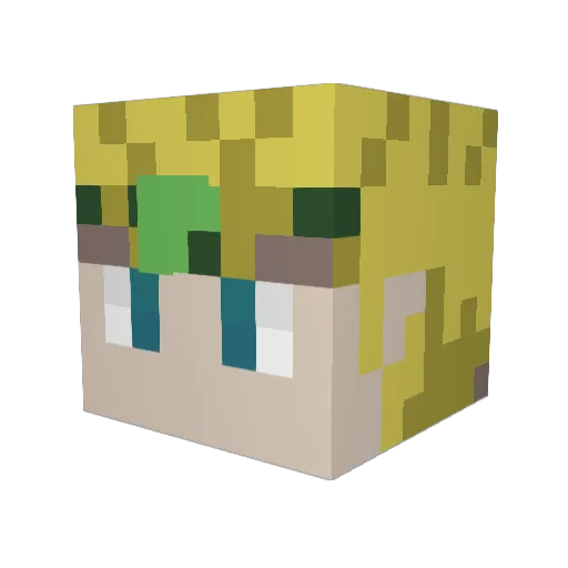 Dio_Brandow Minecraft avatar head, 3D render