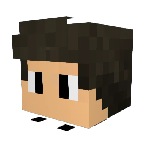 Diogo7_ Minecraft avatar head, 3D render