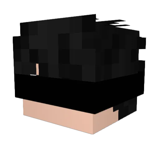 DiogoTam Minecraft avatar head, 3D render