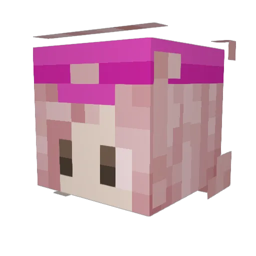 Diomedes_23 Minecraft avatar head, 3D render