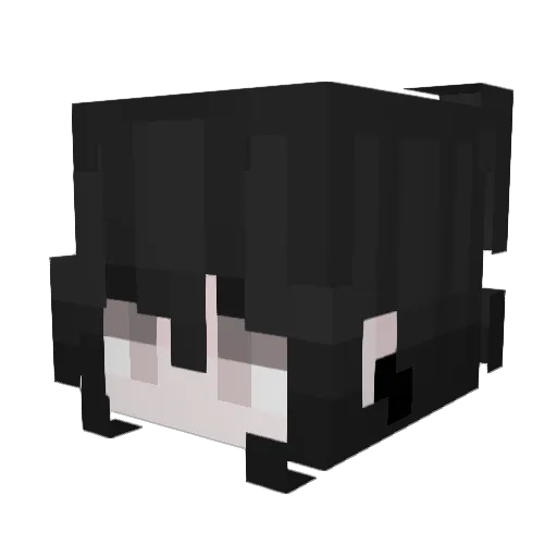 Dior666 Minecraft avatar head, 3D render