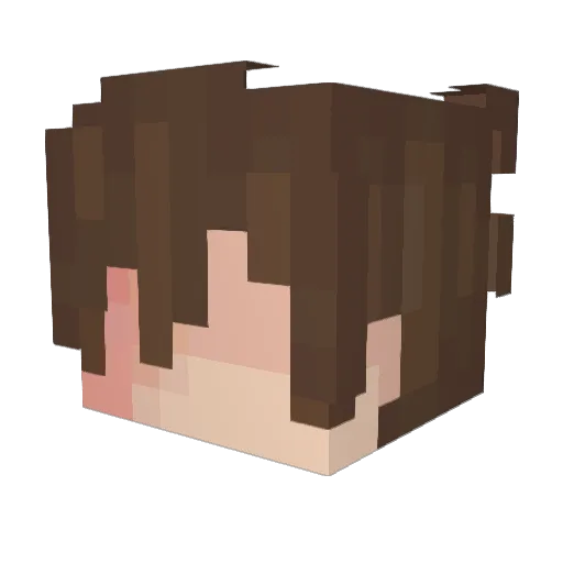 DiorSauvageUser Minecraft avatar head, 3D render